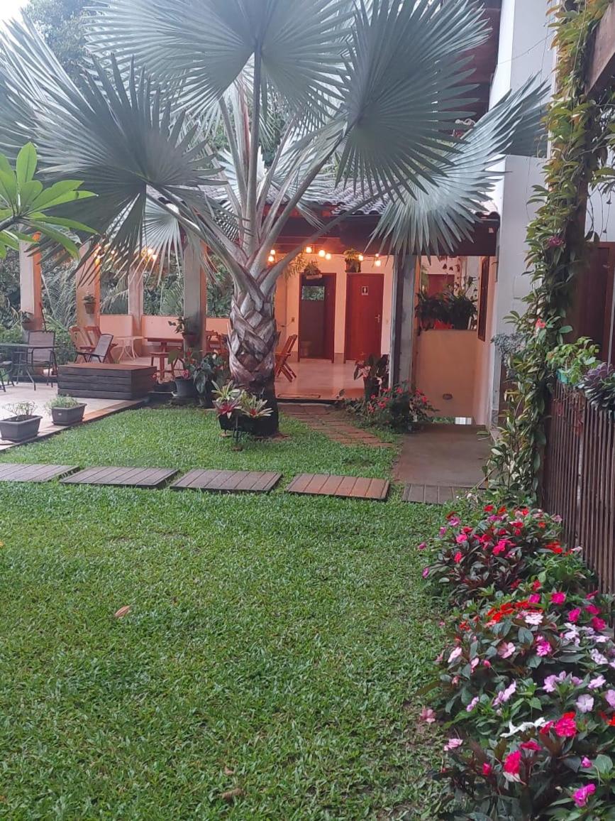 Casa na Floresta view 2