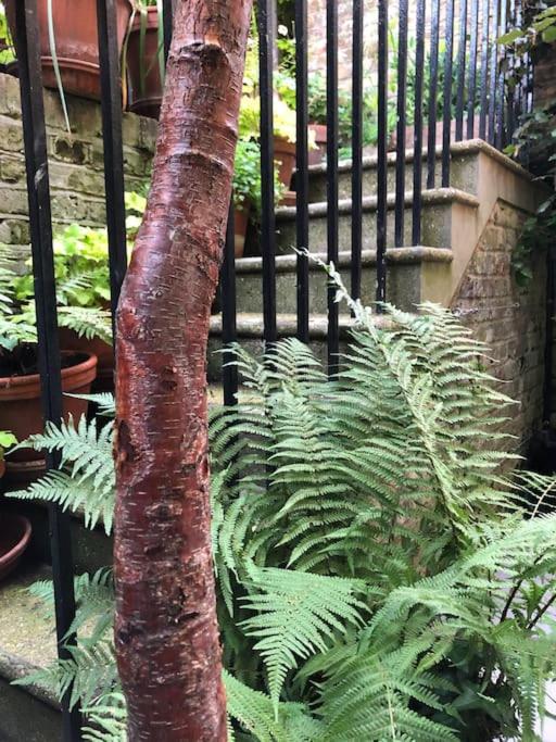 Kings Cross, self-contained house & private garden