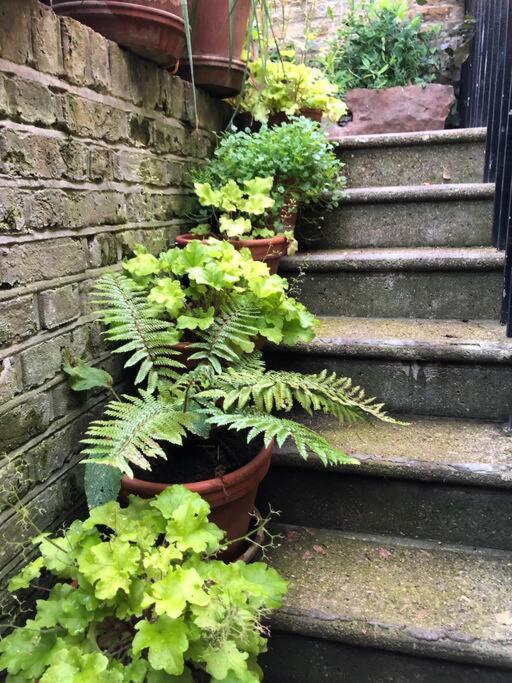 Kings Cross, self-contained house & private garden
