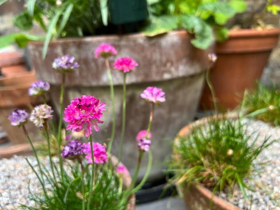 Kings Cross, self-contained house & private garden