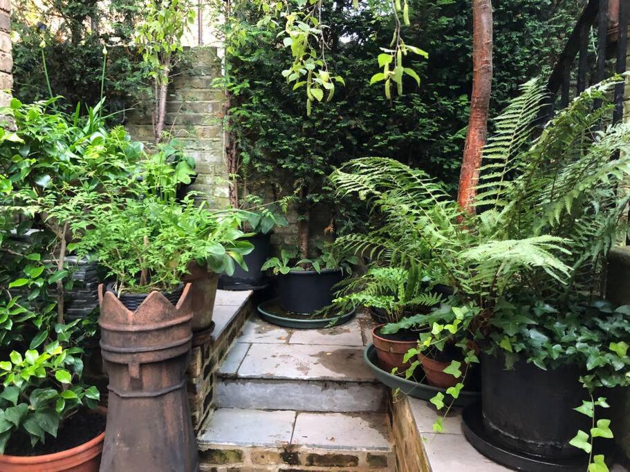 Kings Cross, self-contained house & private garden