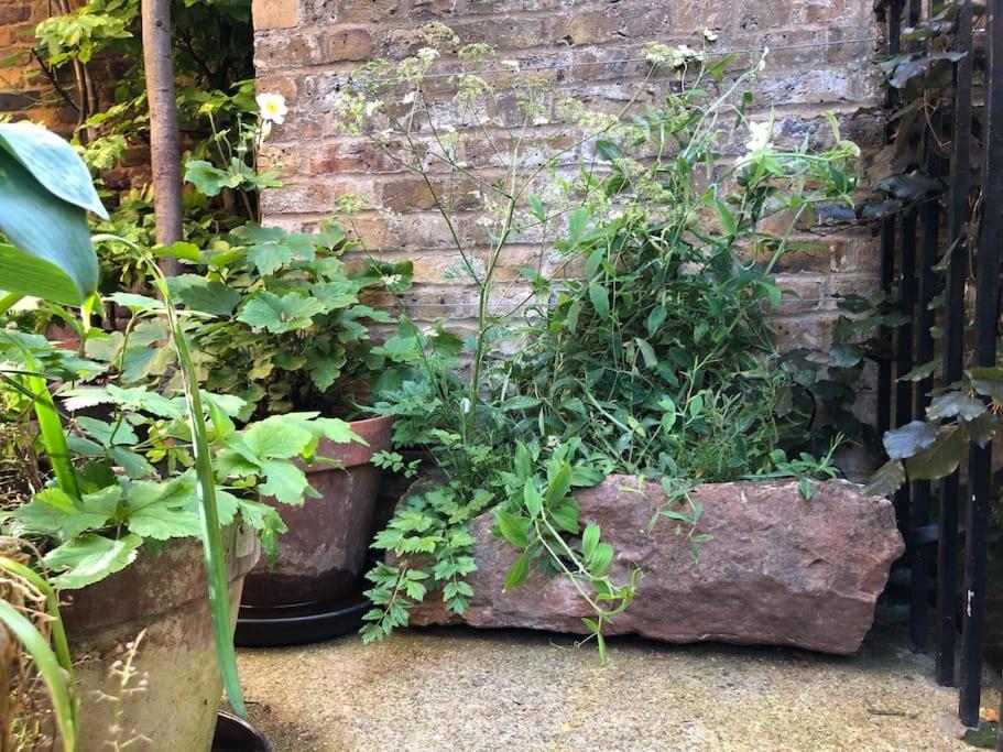 Kings Cross, self-contained house & private garden