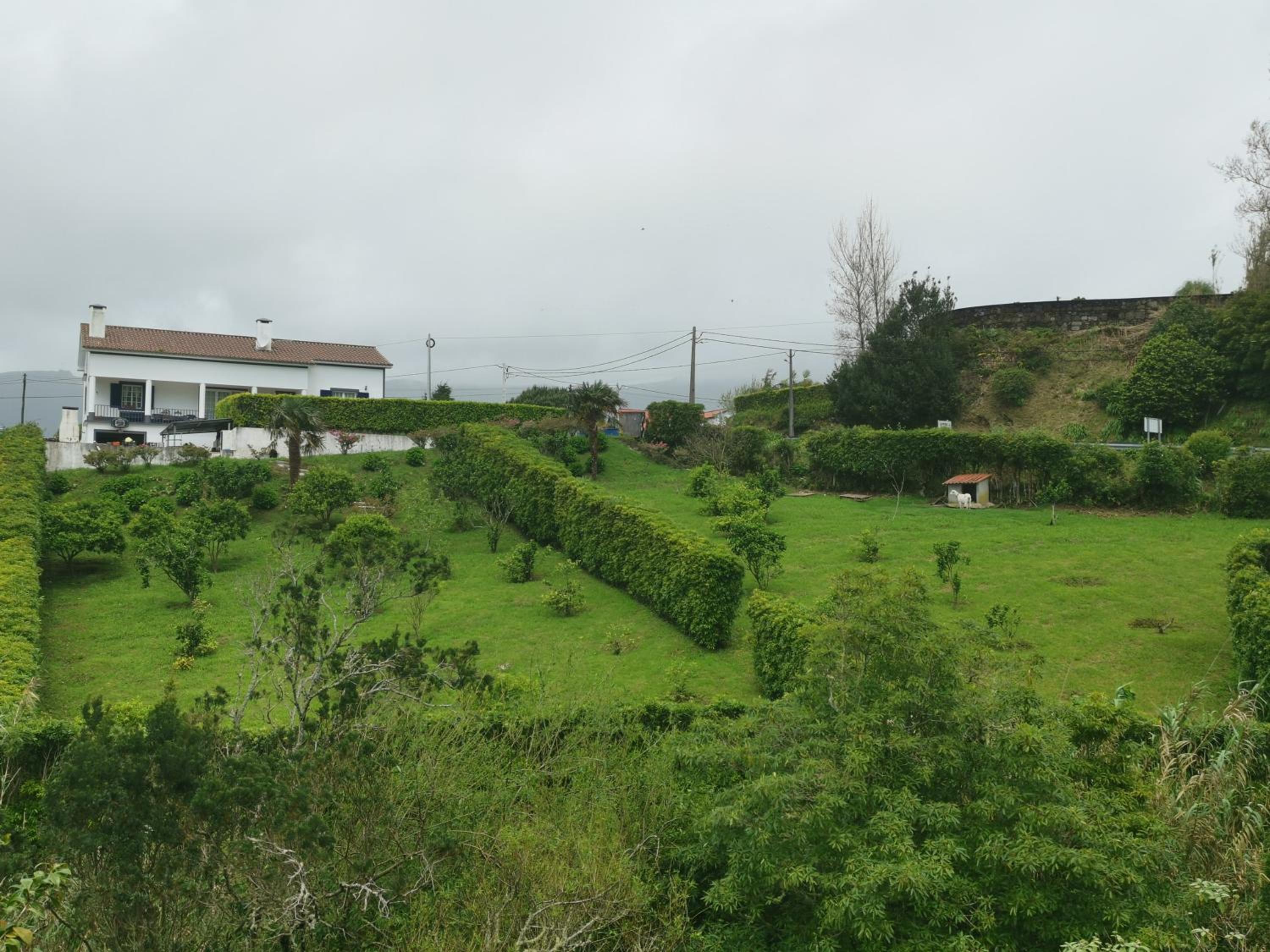 Photo 30