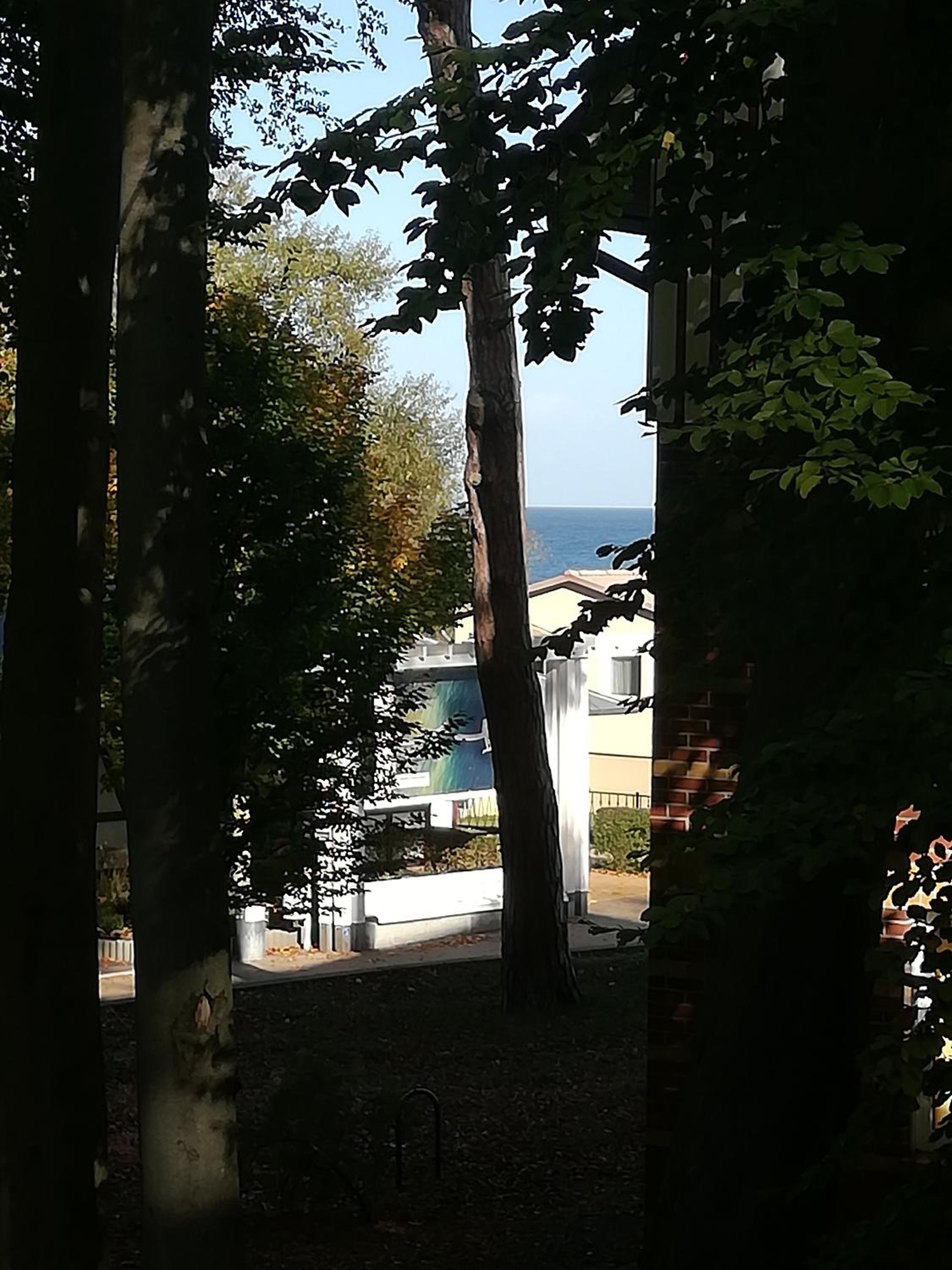 Ostseetraum