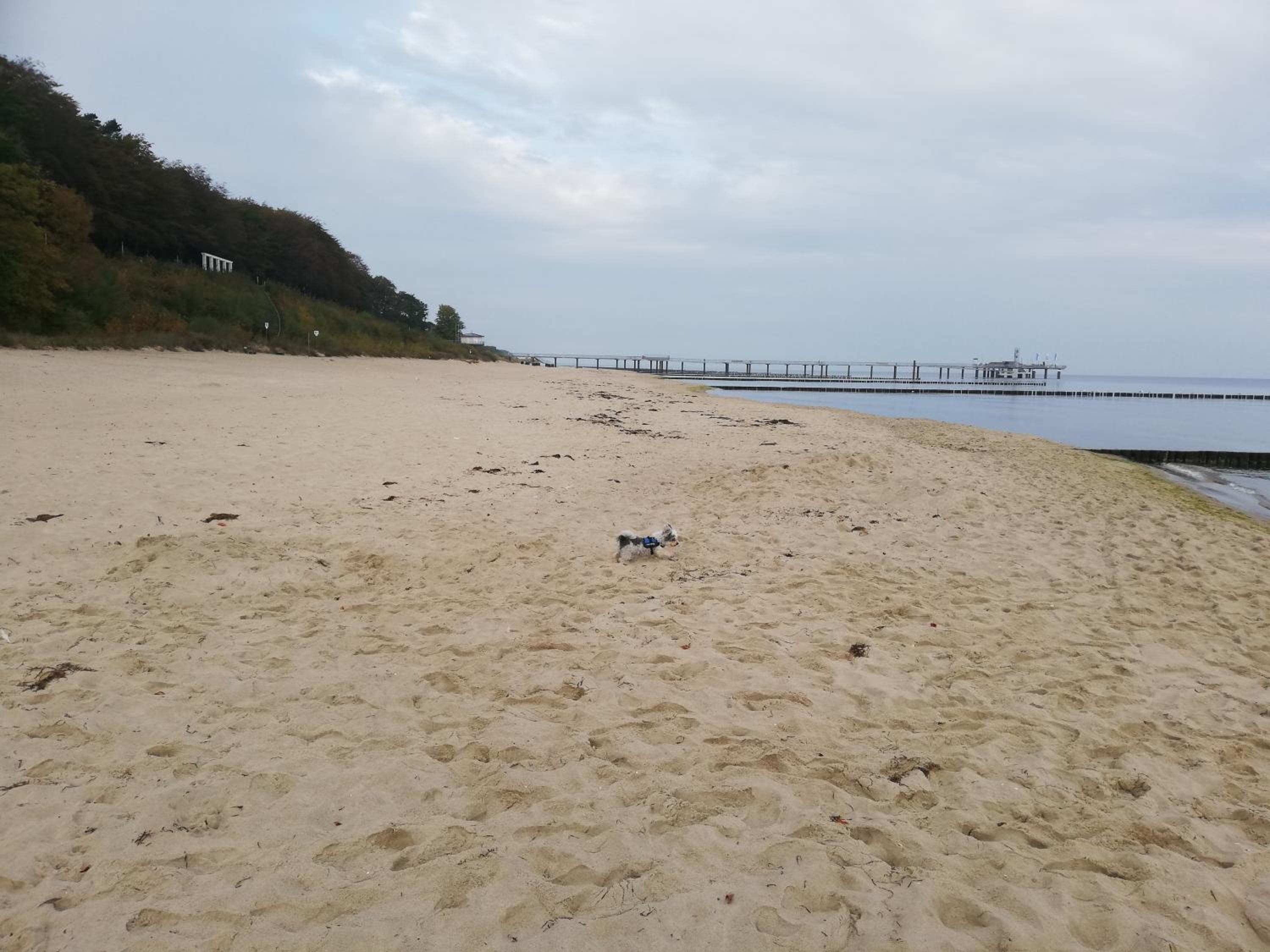 Ostseetraum