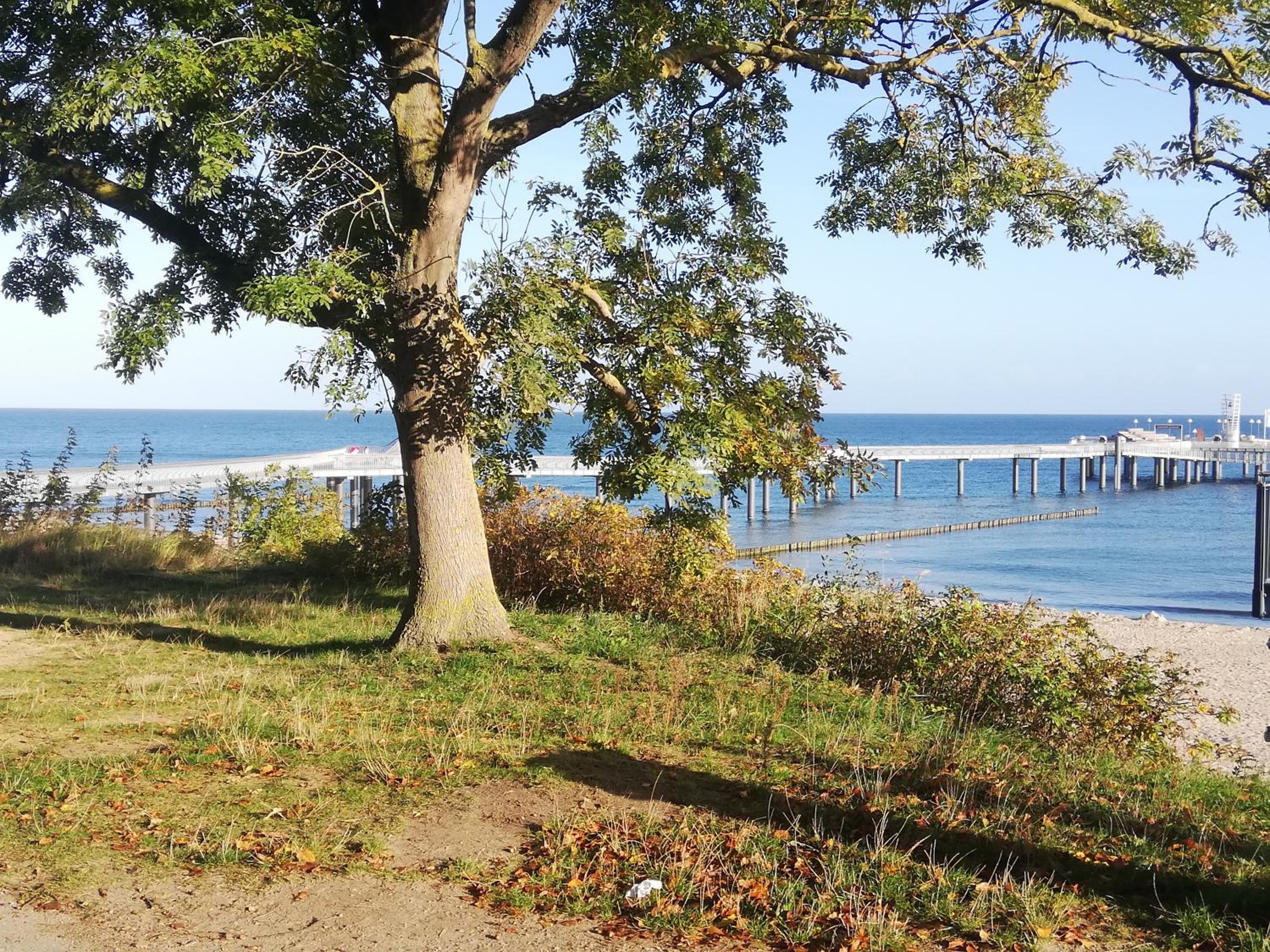 Ostseetraum