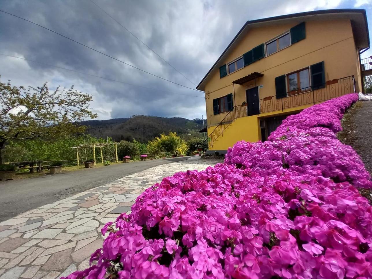 La valle fiorita view 2