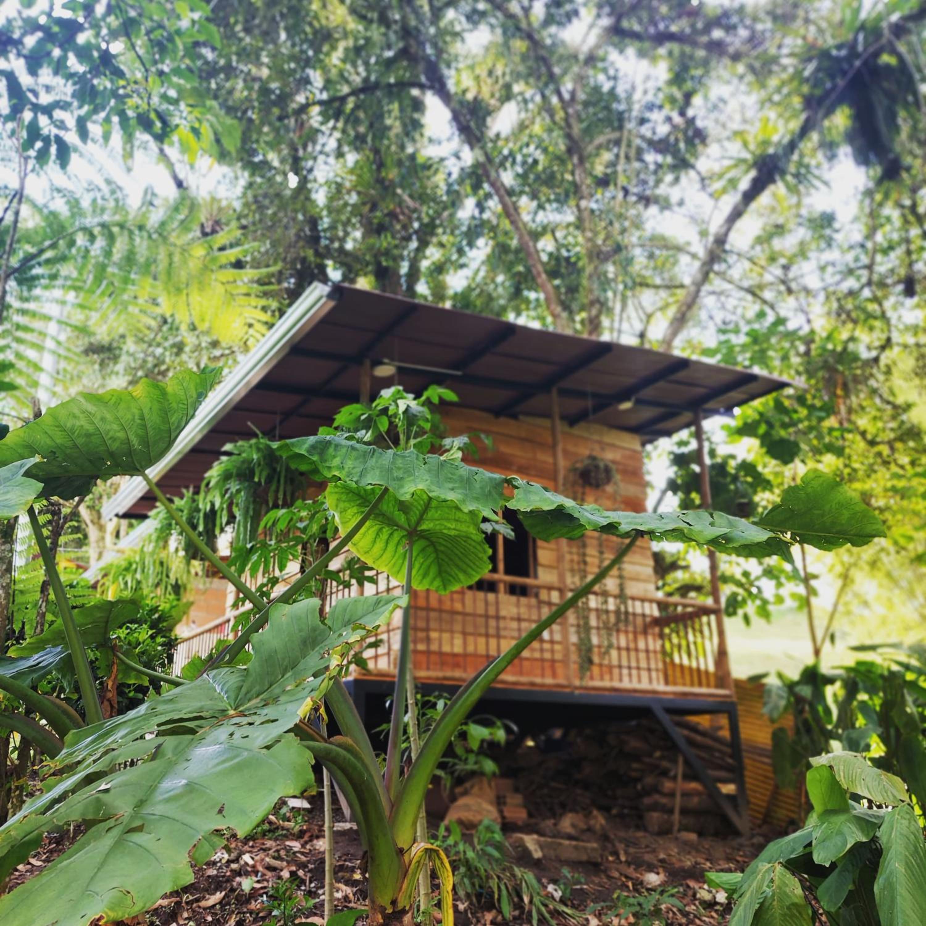EcoaldeaHotel Aguaviva2
