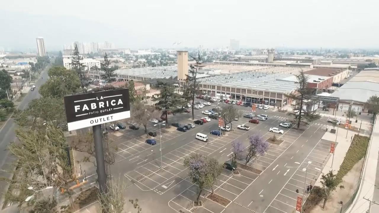 Loica Chile