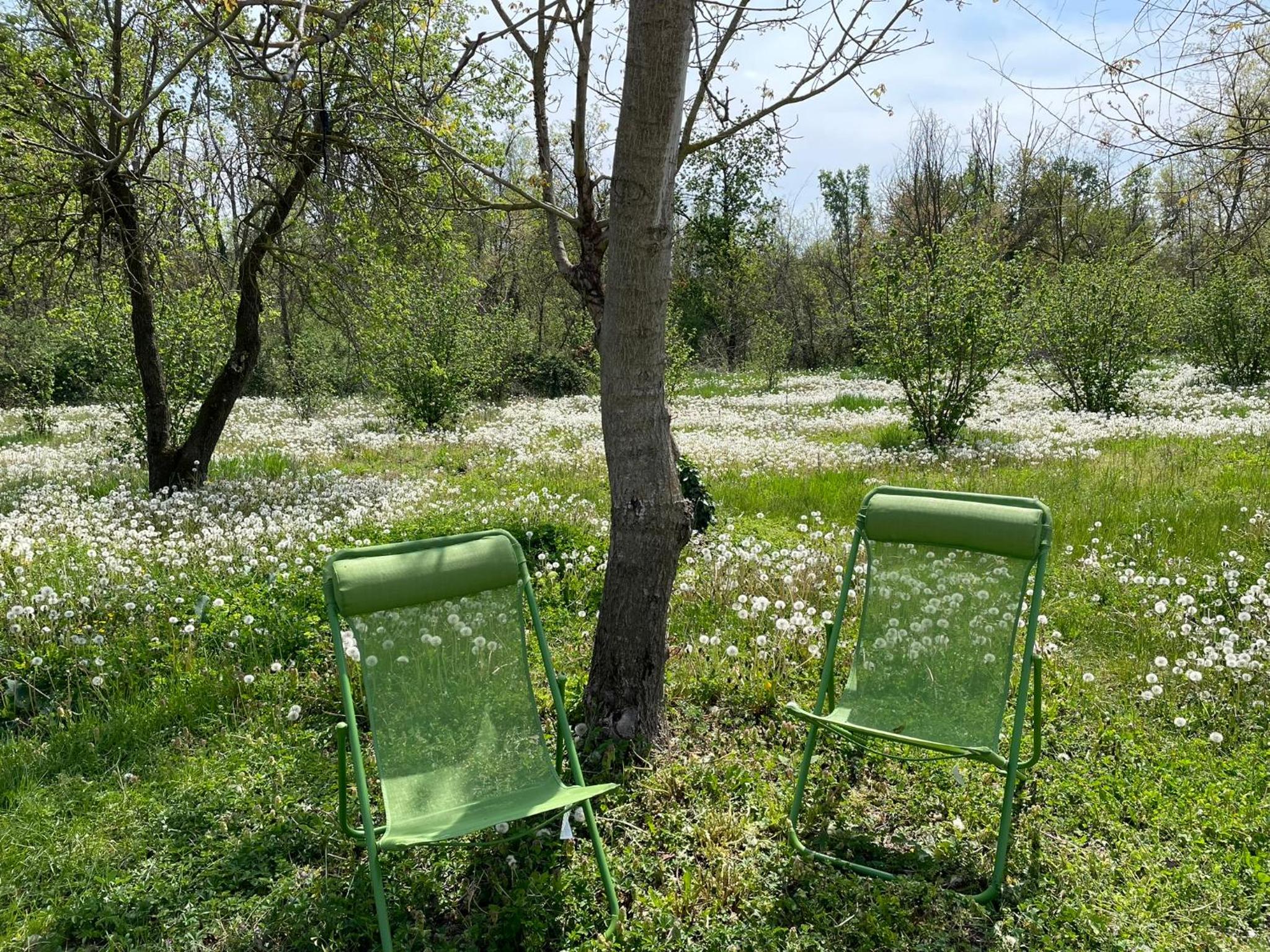 Beinalot Country House view 5
