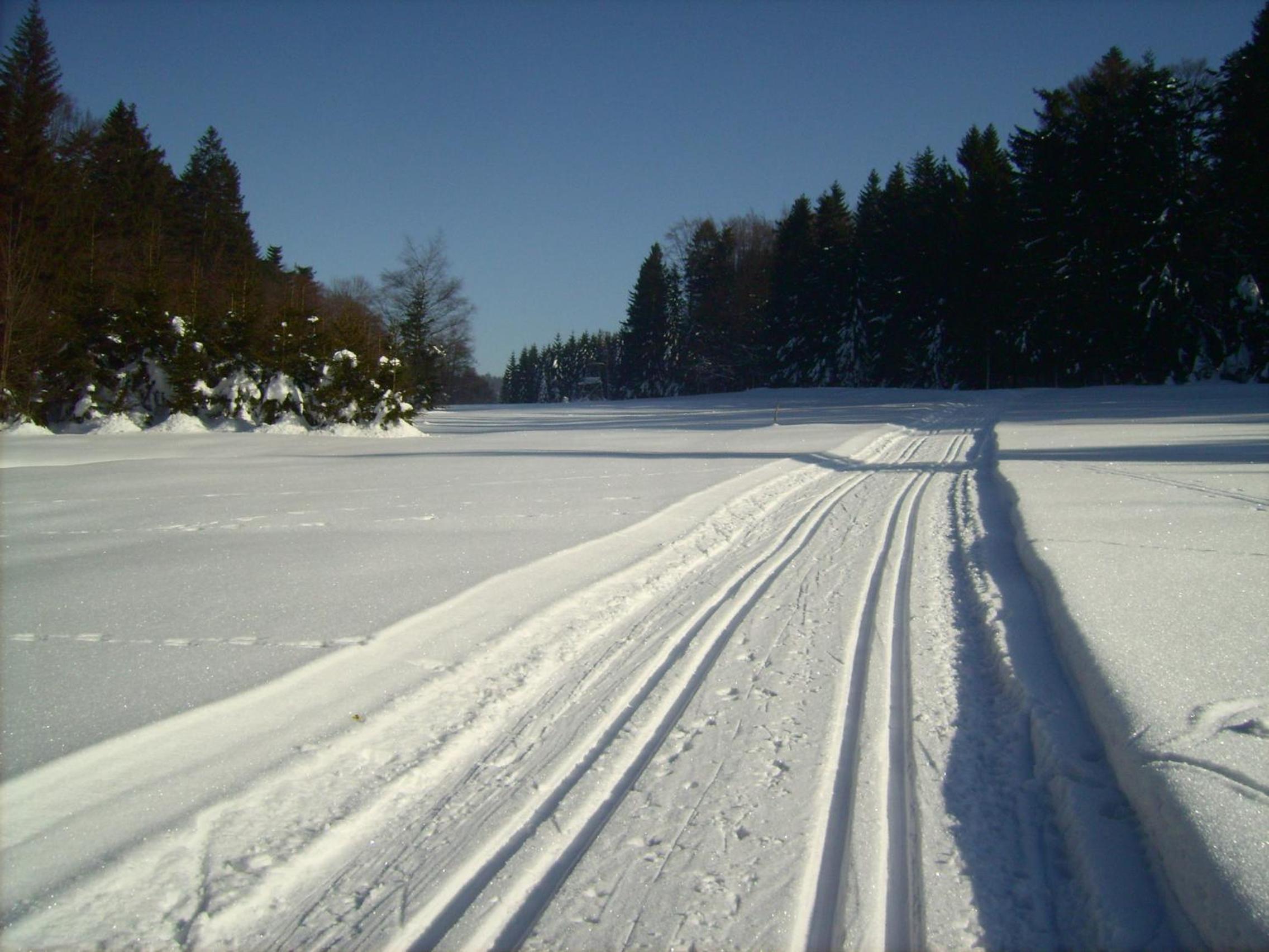 Schönblick 36