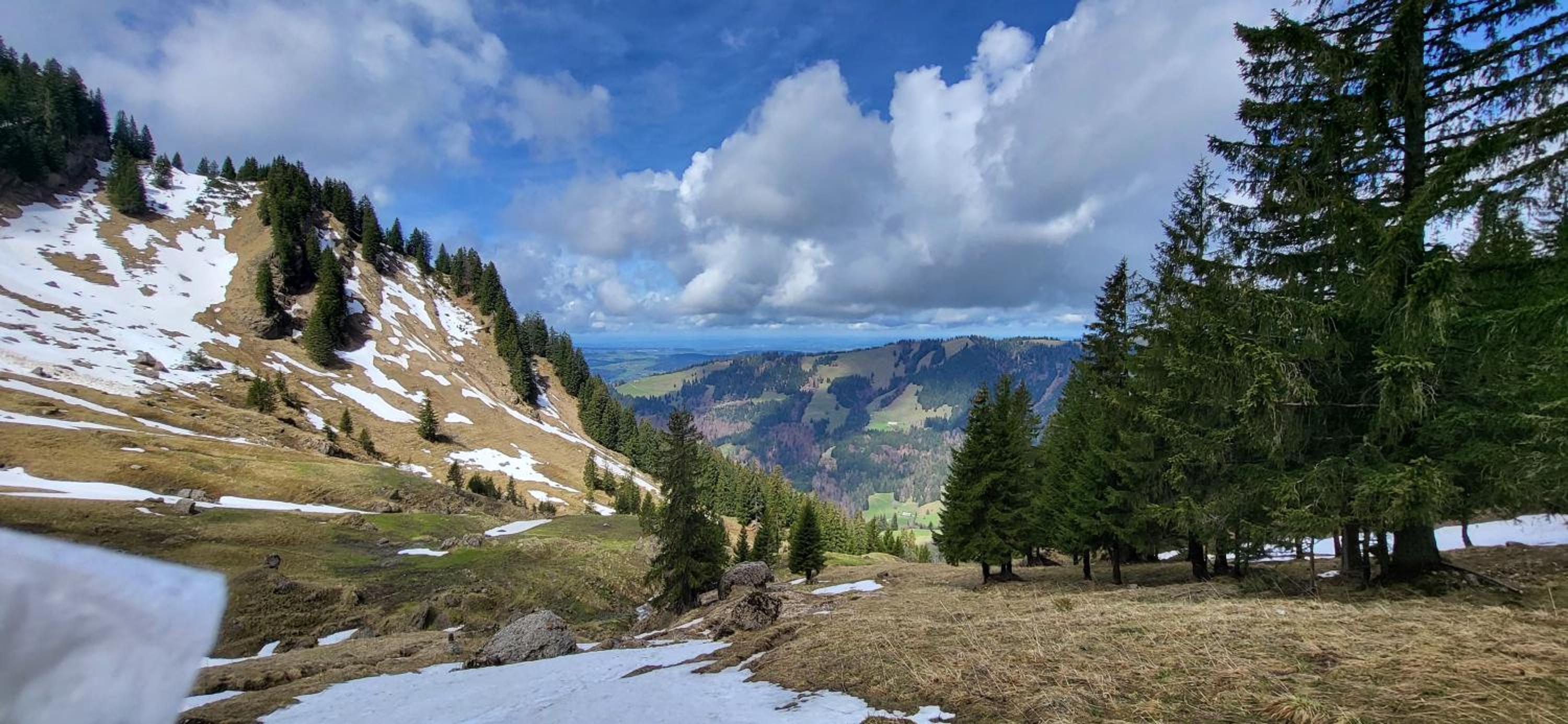 FeWo Allgäuliebe mit WLAN Oberstaufen Steibis