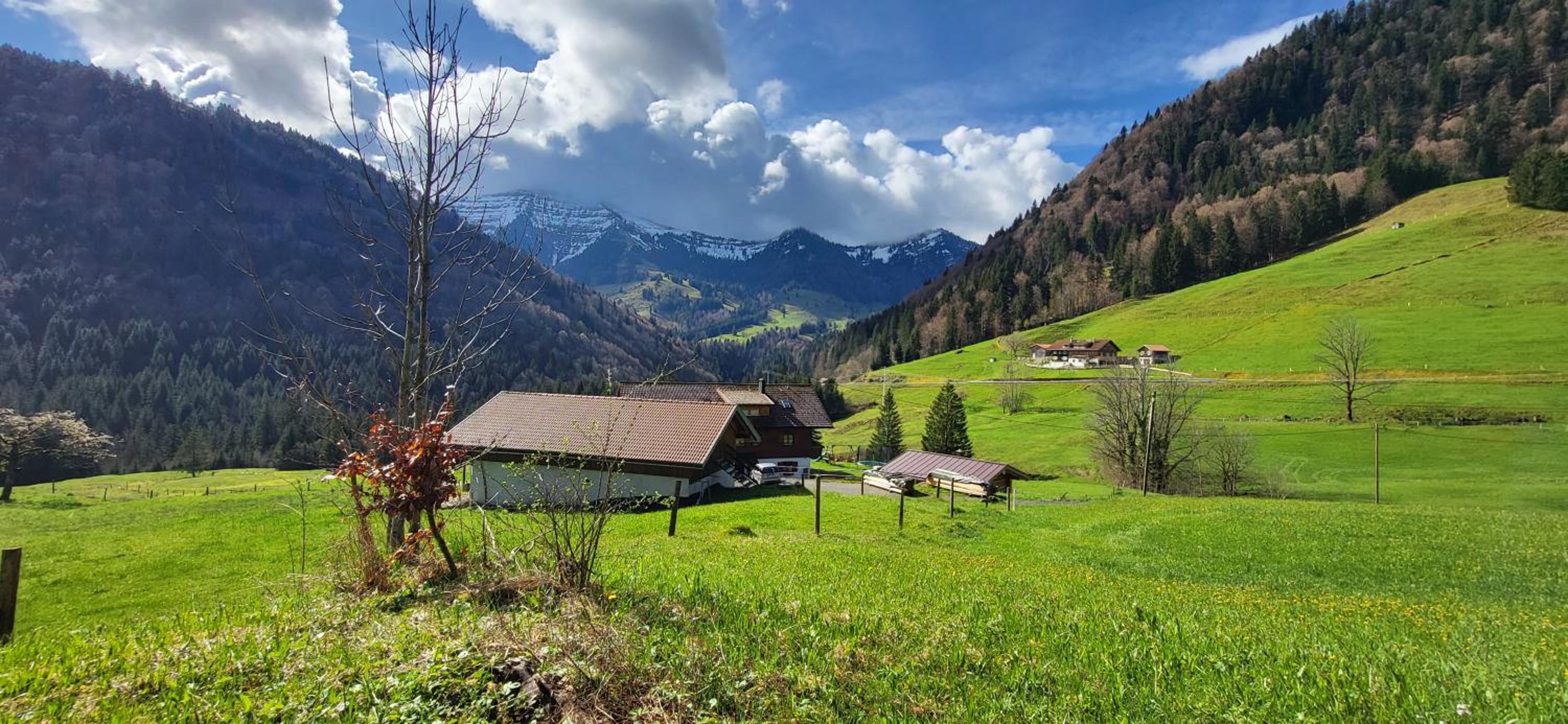 FeWo Allgäuliebe mit WLAN Oberstaufen Steibis