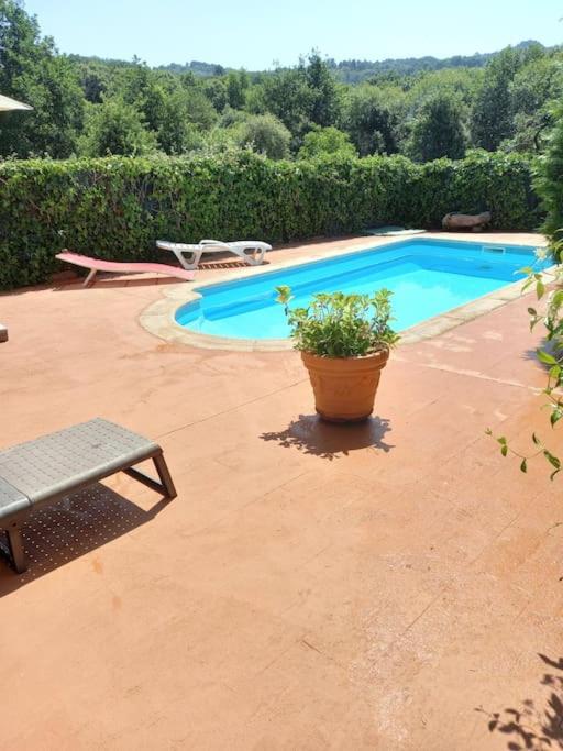 Casa CACHAMARIA próxima a la ribeira sacra view 5
