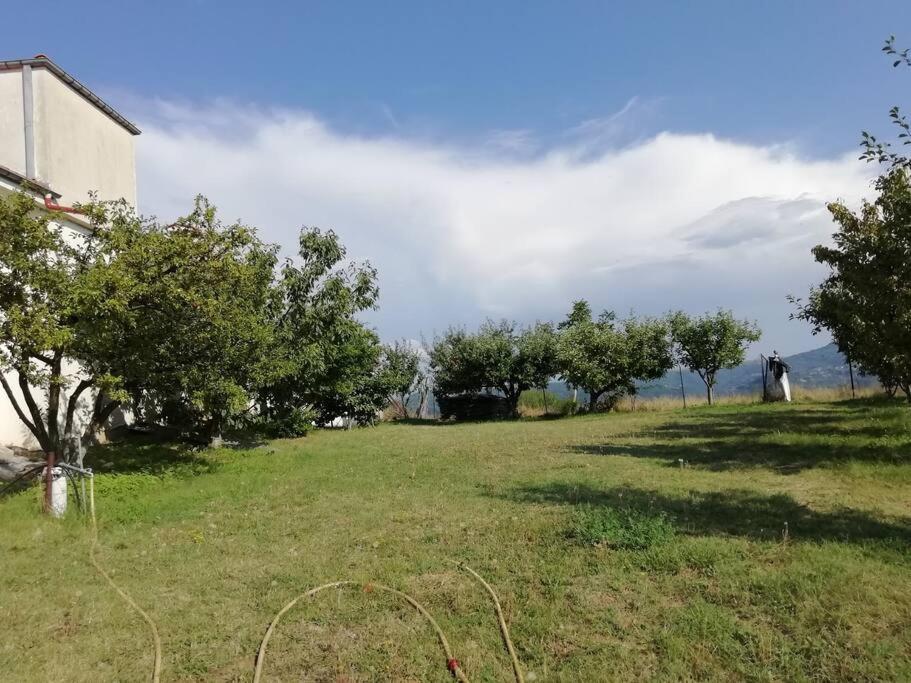 Photo 31