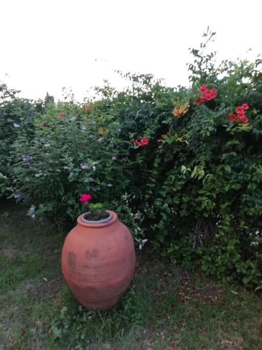 Photo 38