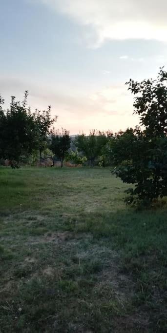 Photo 48