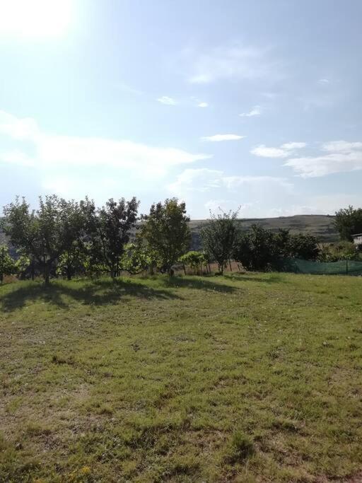 Photo 49
