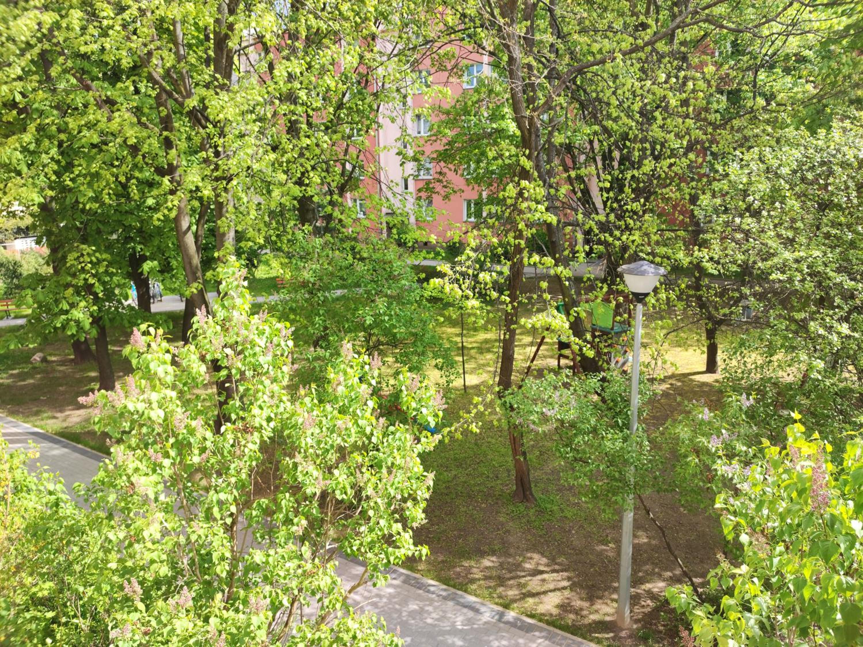 Photo 8