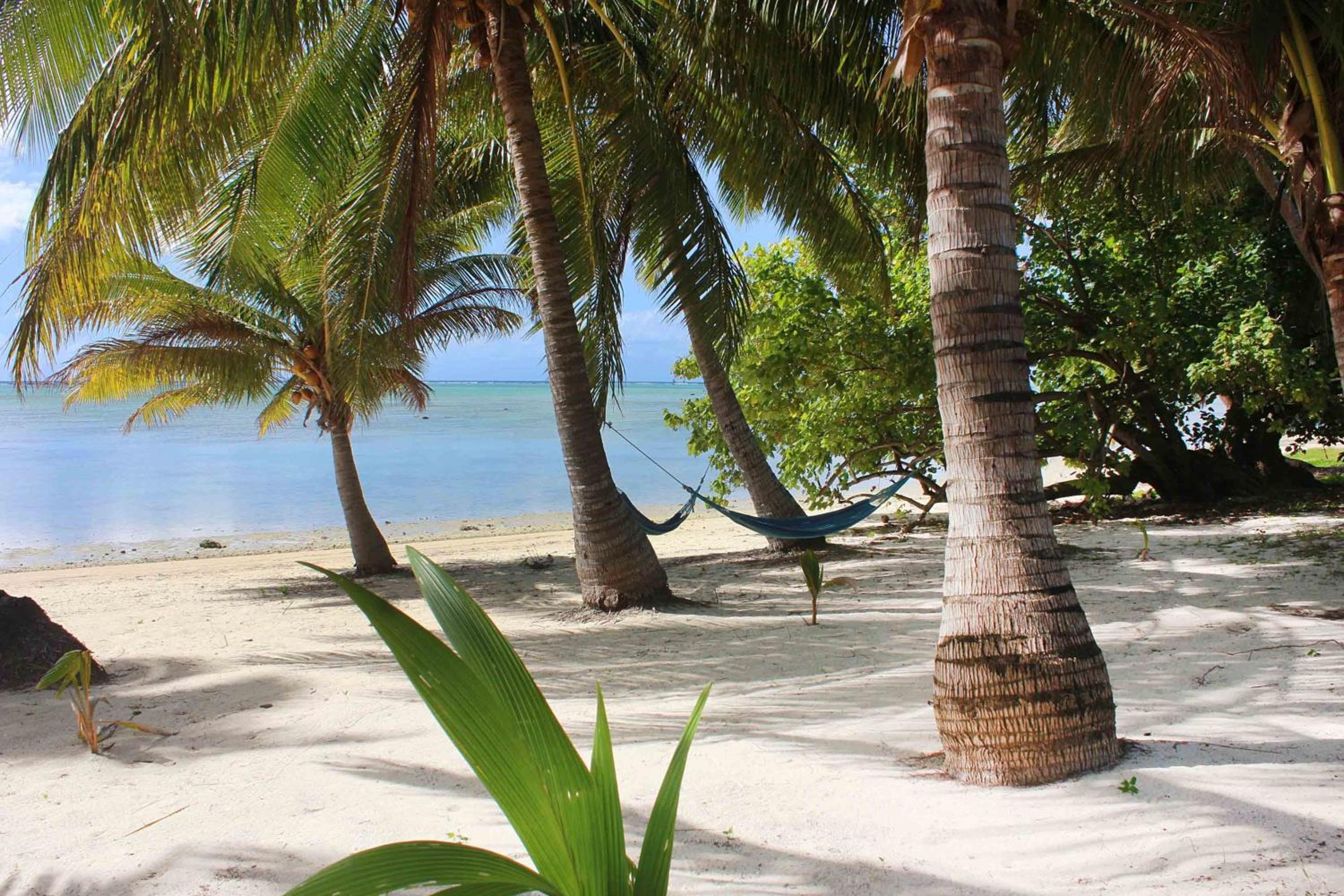 Paparei Beachfront Bungalows, Aitutaki view 3