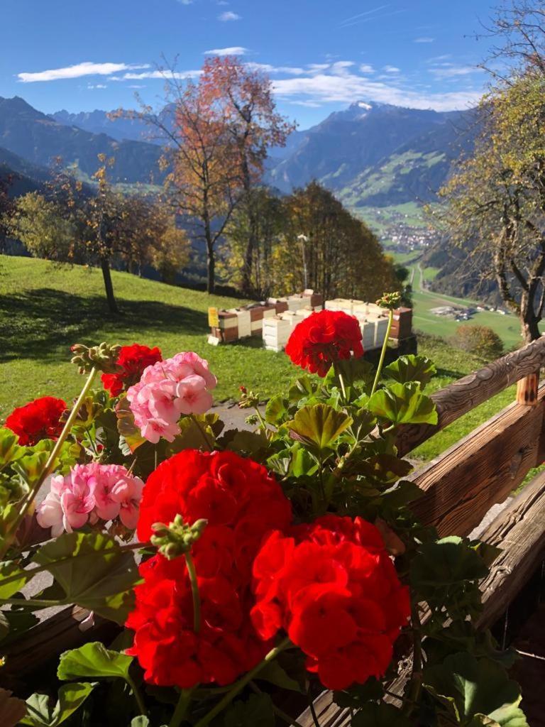 Chalet Gumperhof