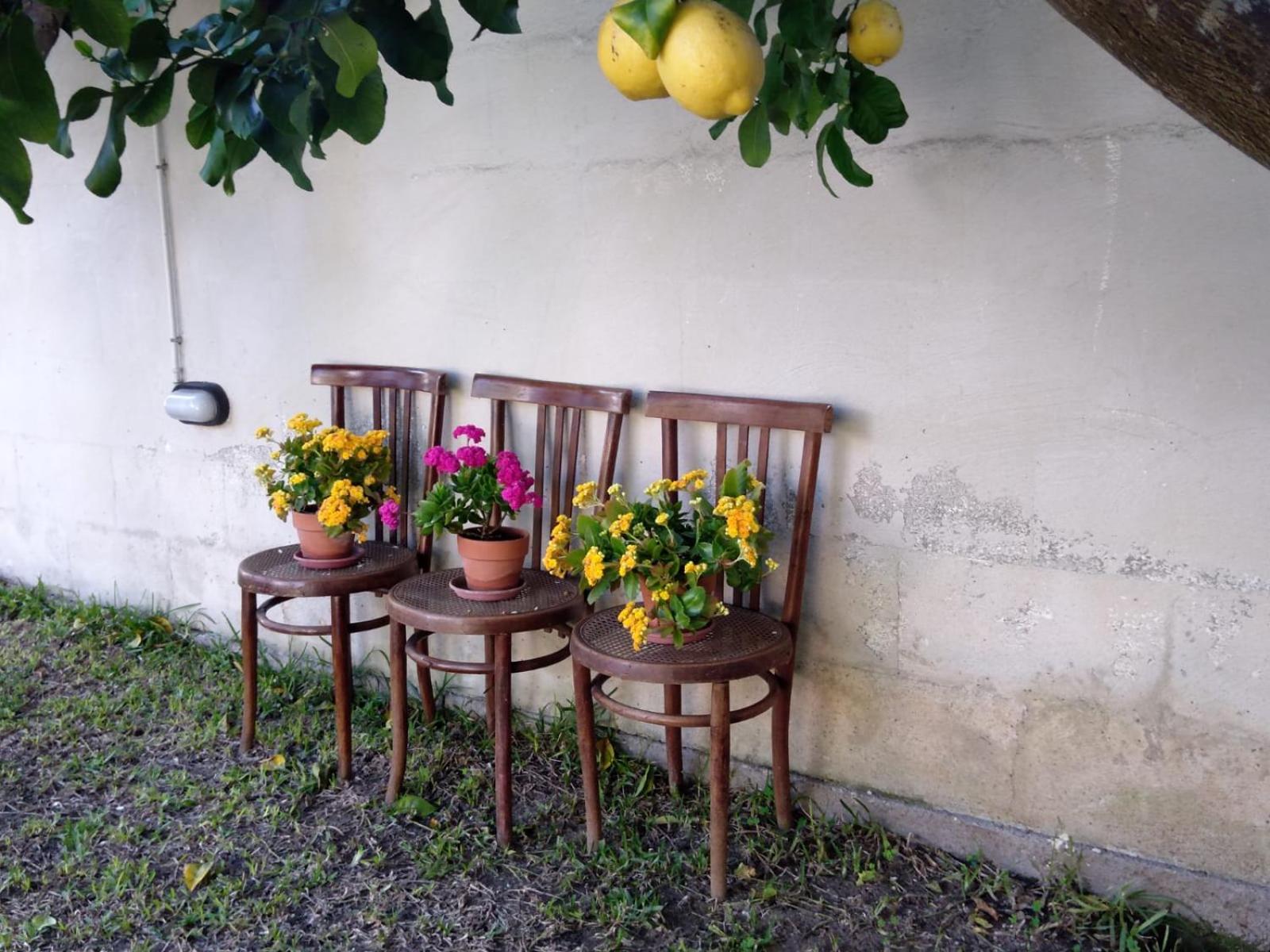 B&B Villa Sofia