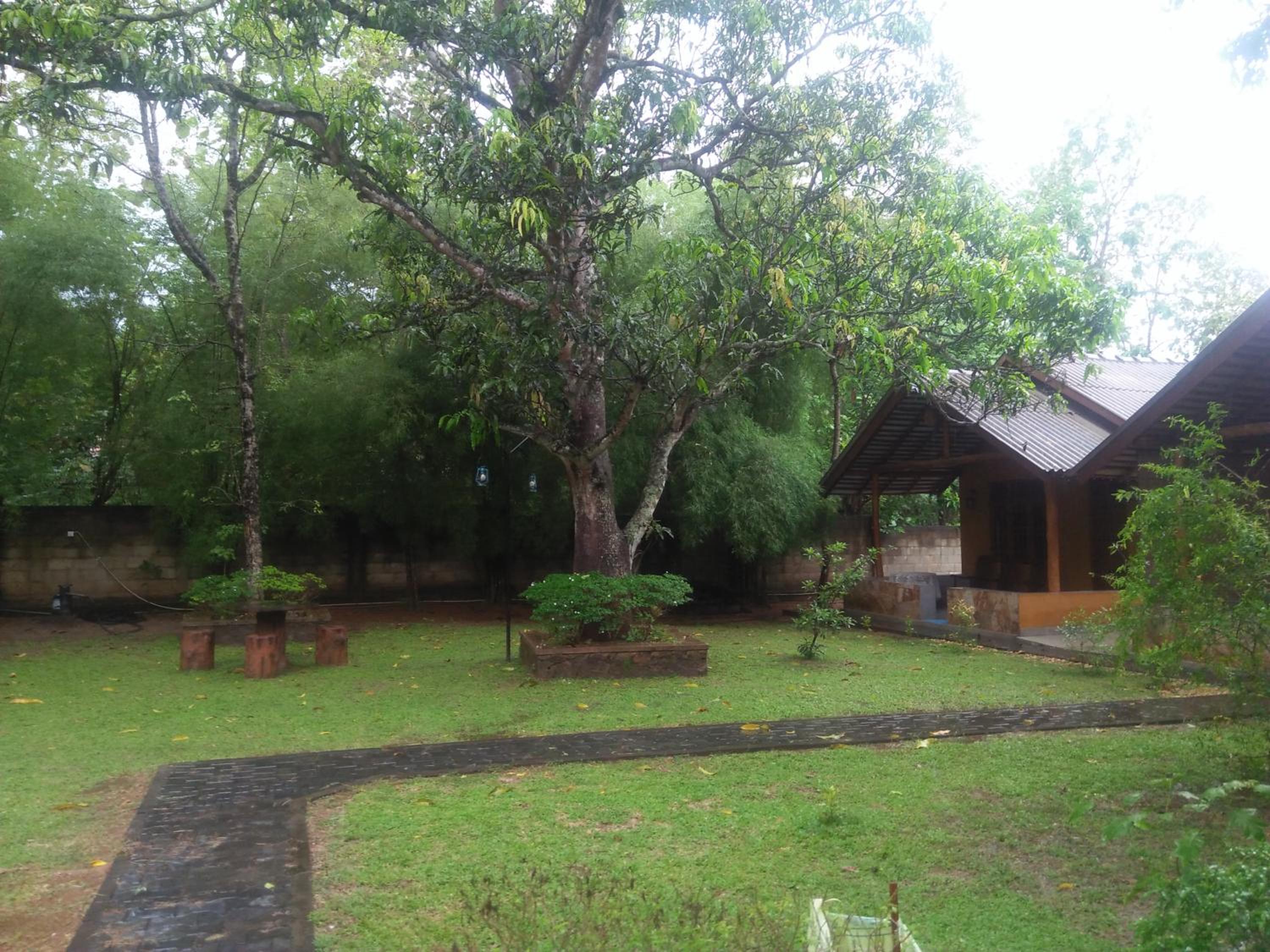Photo 46