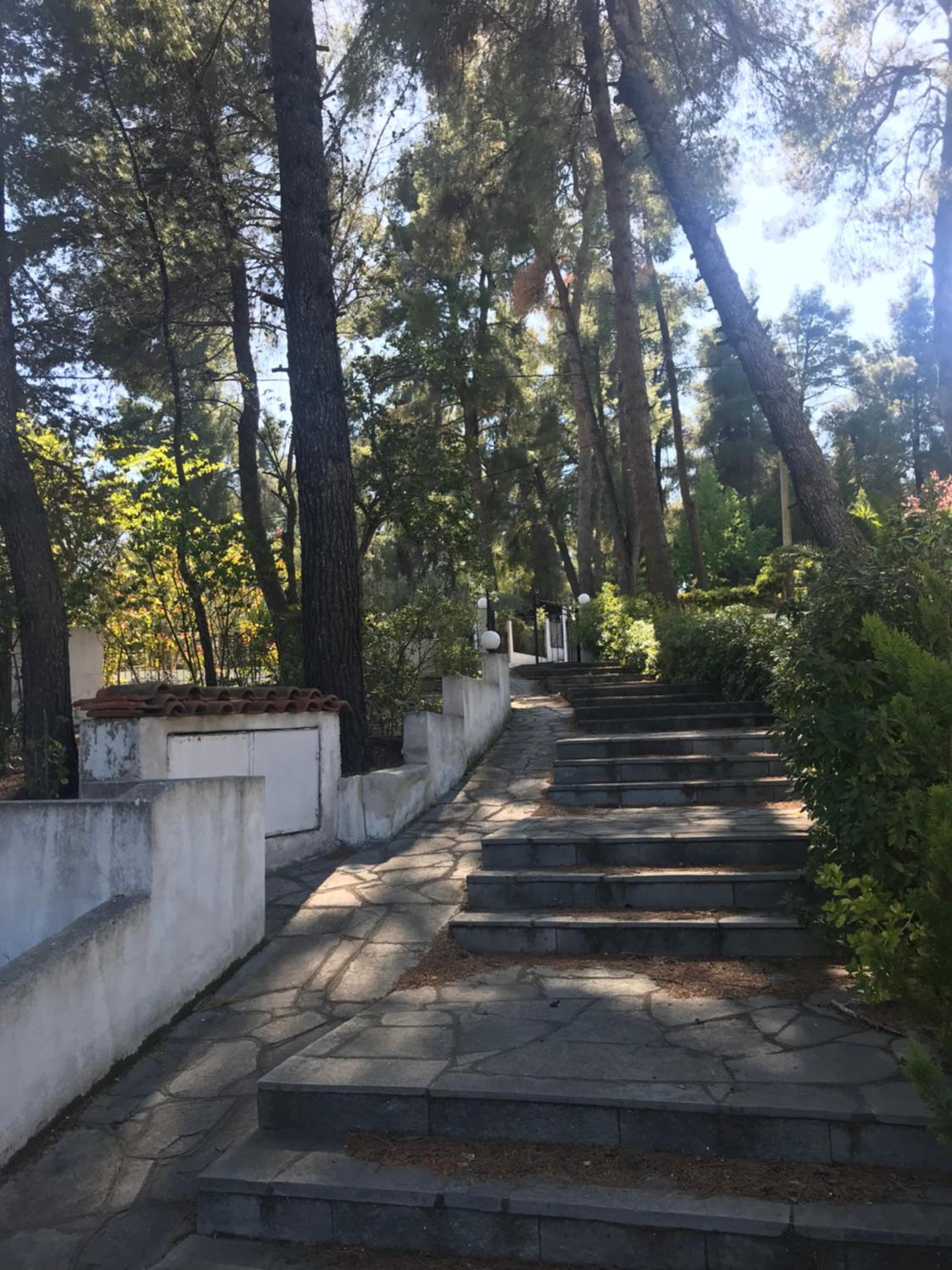 Photo 47