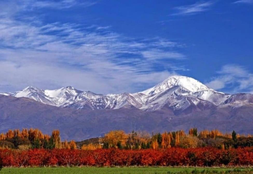 MENDOZA VIÑA Y SOL cochera propia