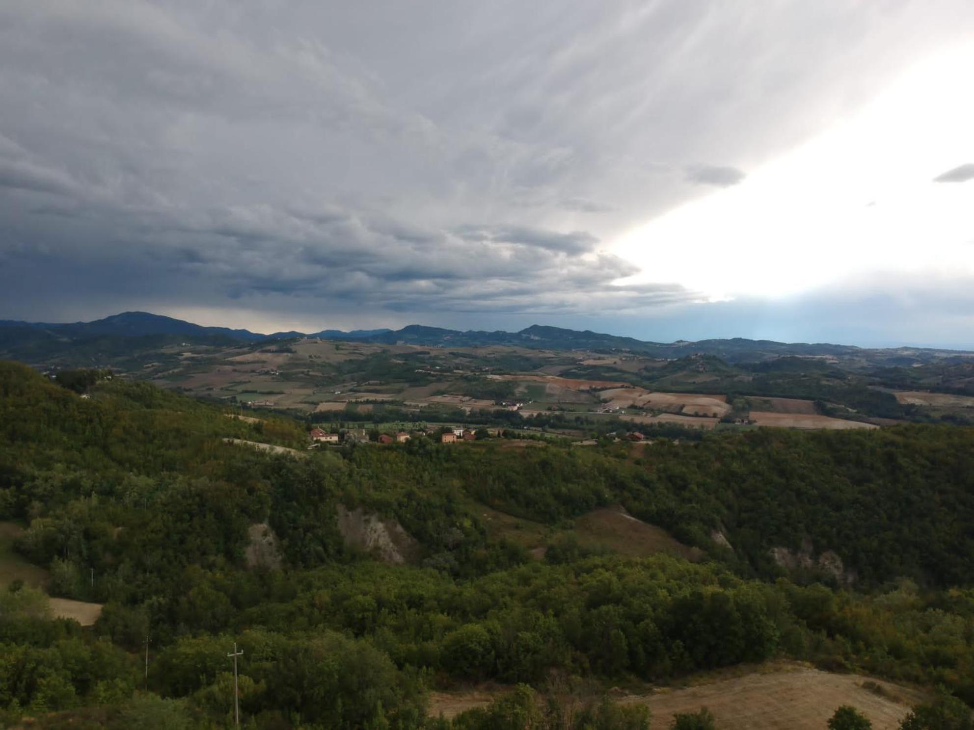 Oasi di Mastarone - Il vino e le Rose