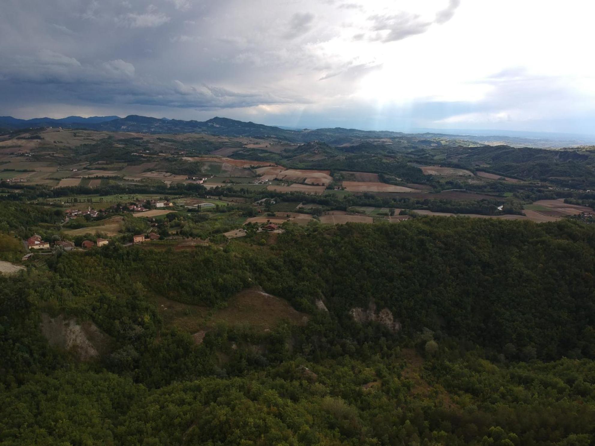 Oasi di Mastarone - Il vino e le Rose