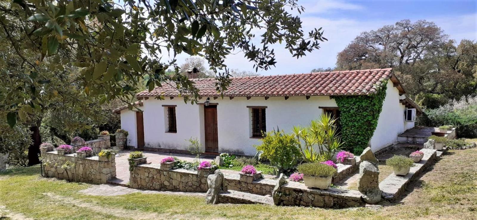 B&B I Menhir