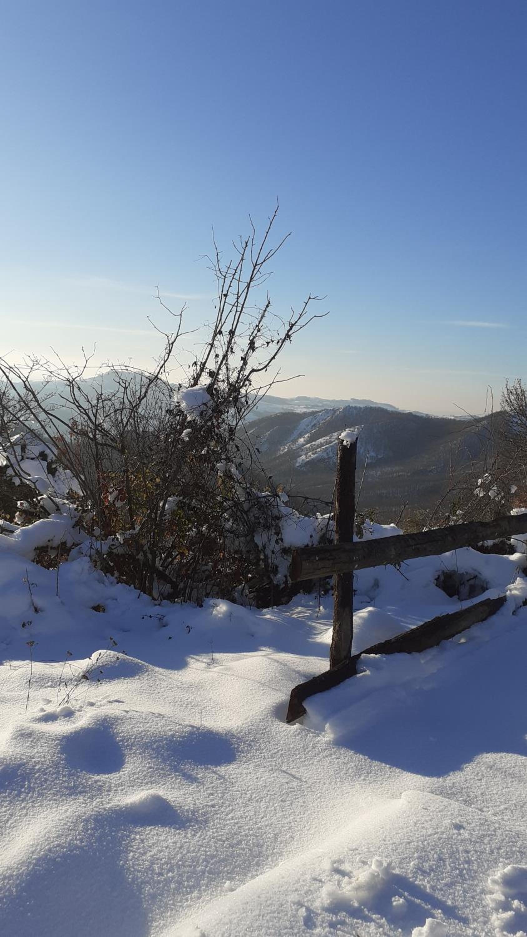 Oasi di Mastarone - Il vino e le Rose