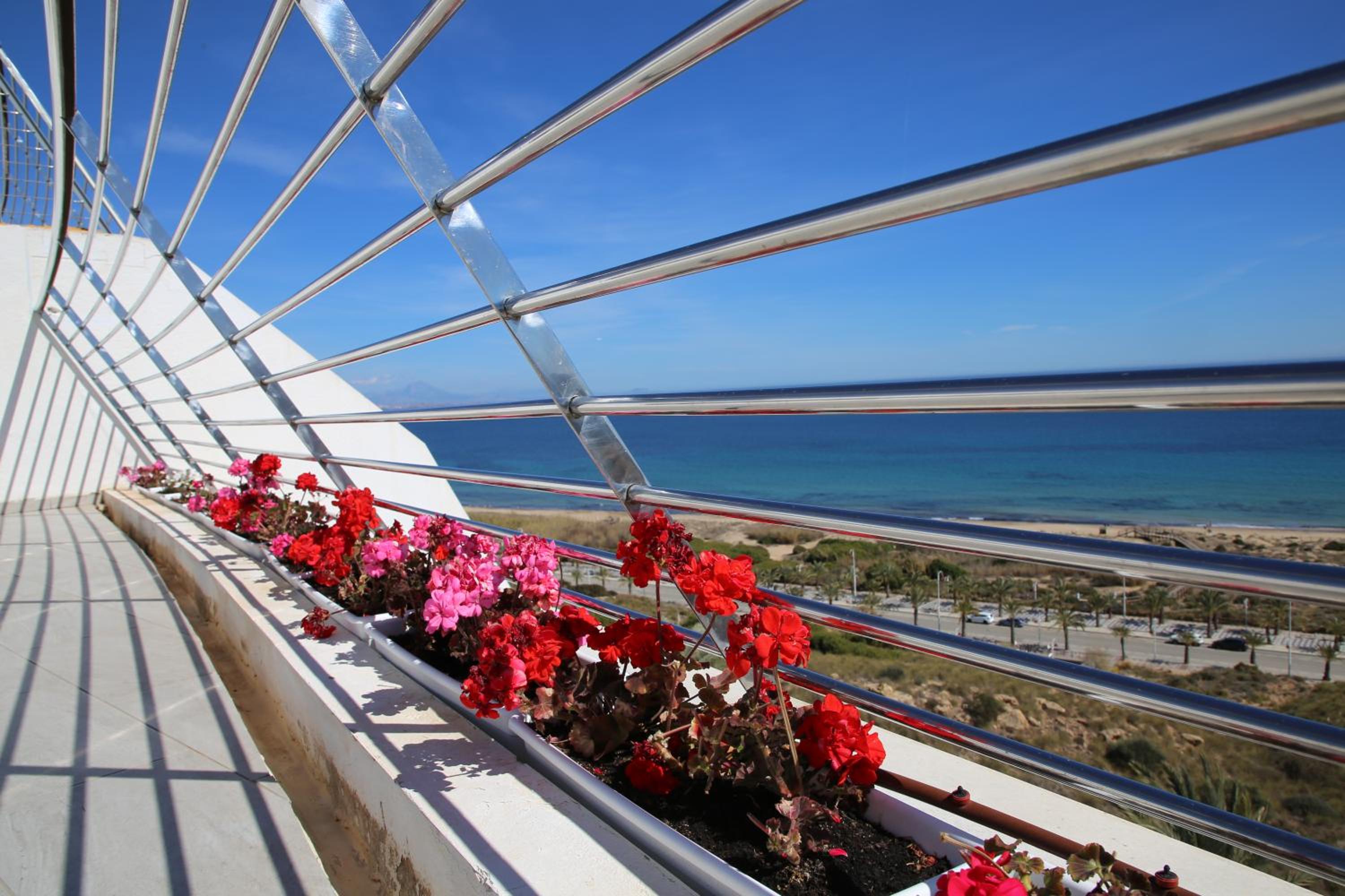 Luxury Apartment Infinity View