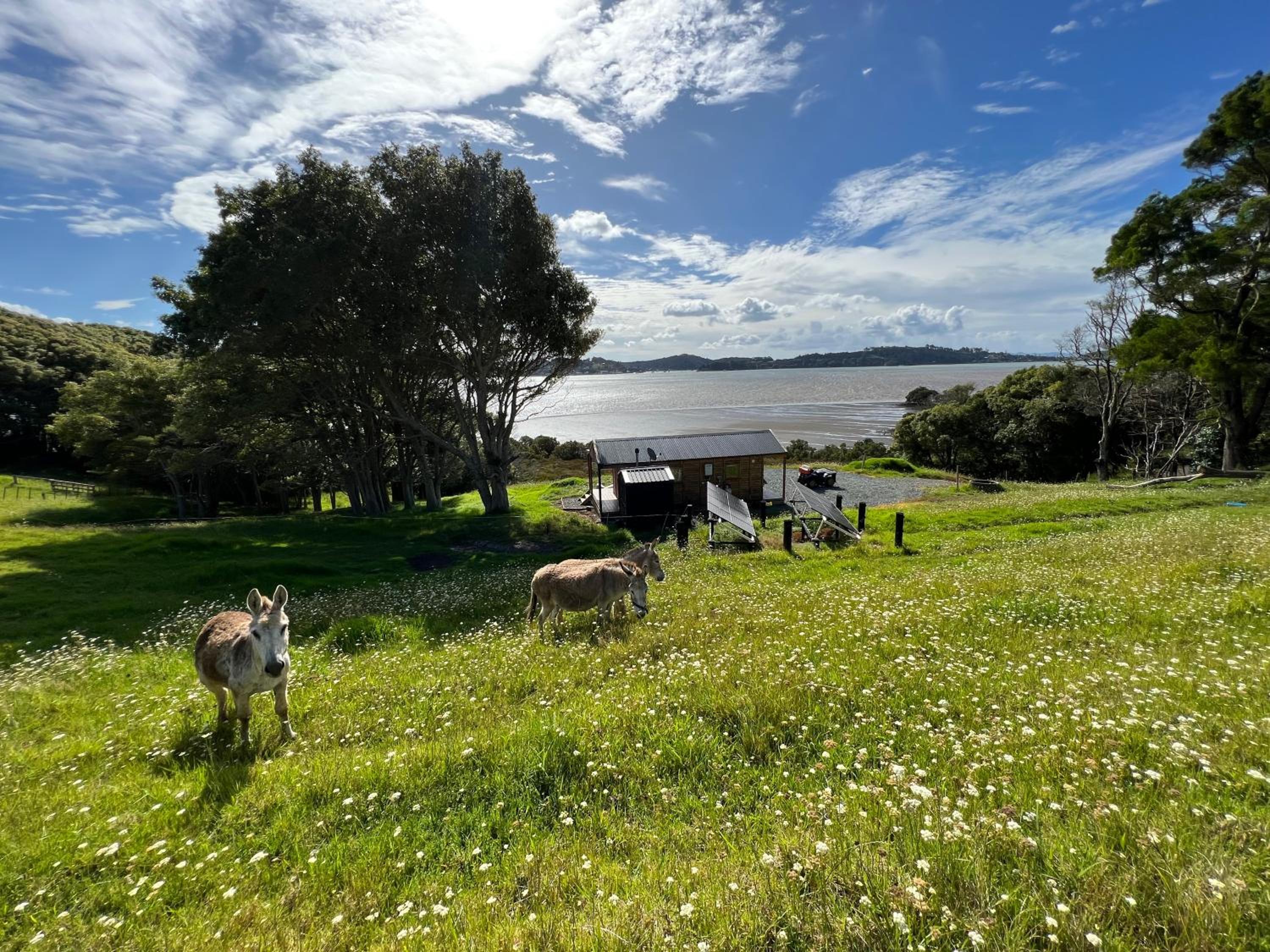 Laurels Retreat