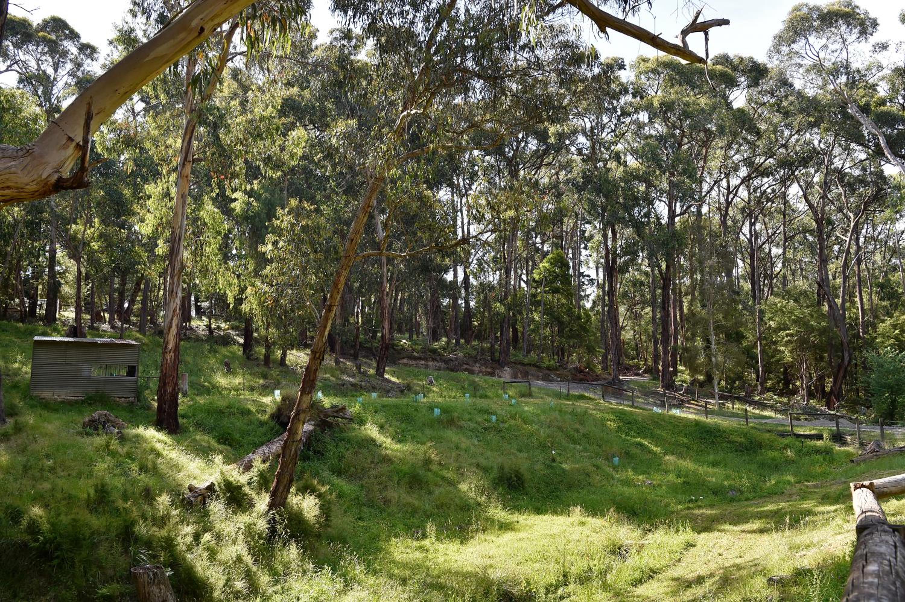 Harberts Lodge Yarra Valley