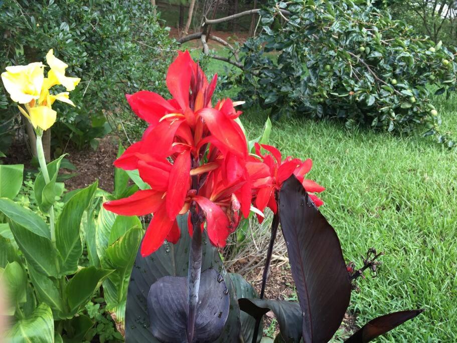 Oxford Chalet Getaway with Lake/Beach Access - Property Image 39