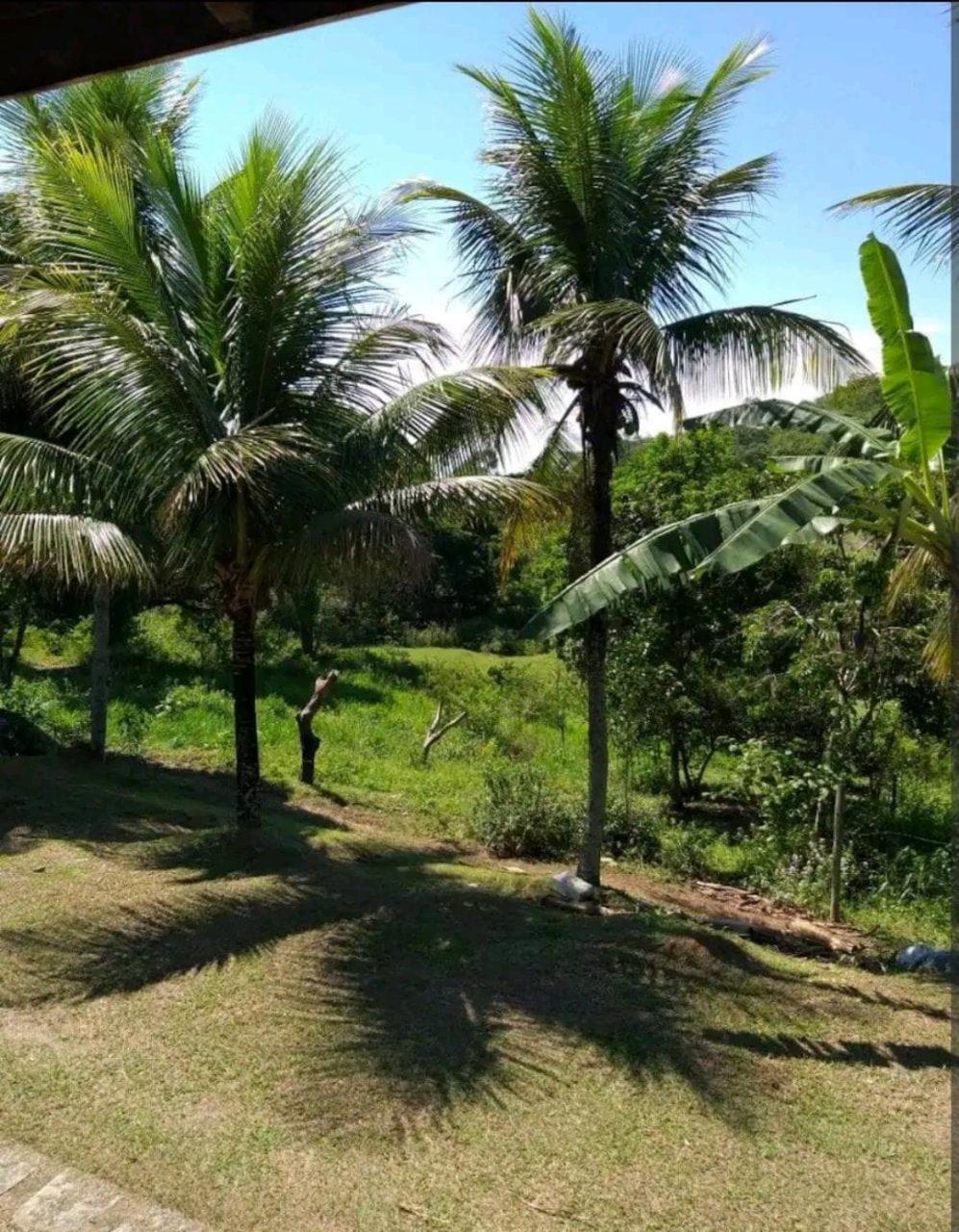 Sítio refazenda