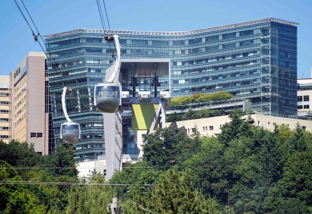 Private Newly Renovated Studio w private Parking! view 4