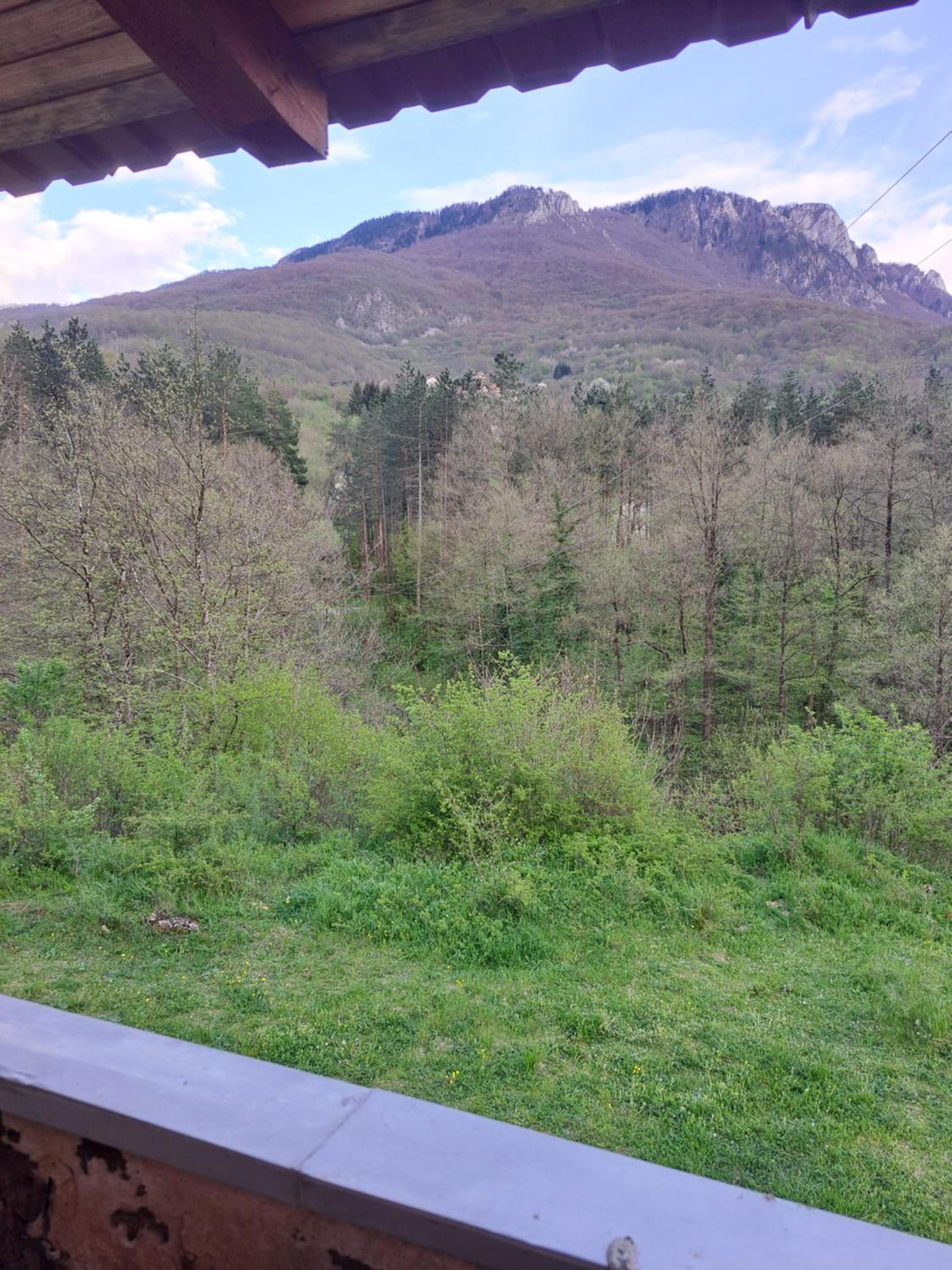Tratinčica
