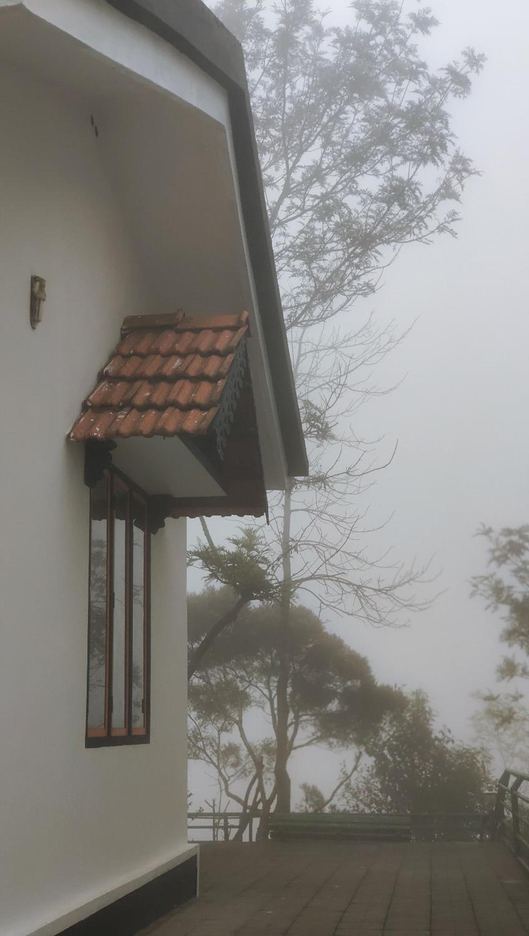 Hide and seek Residency view 4
