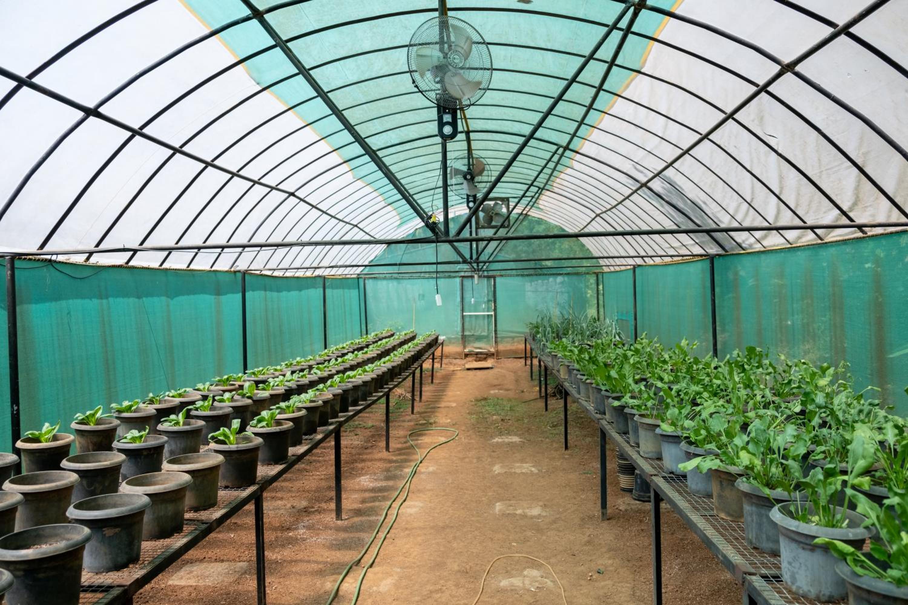 Mangaal Farmstay Goa