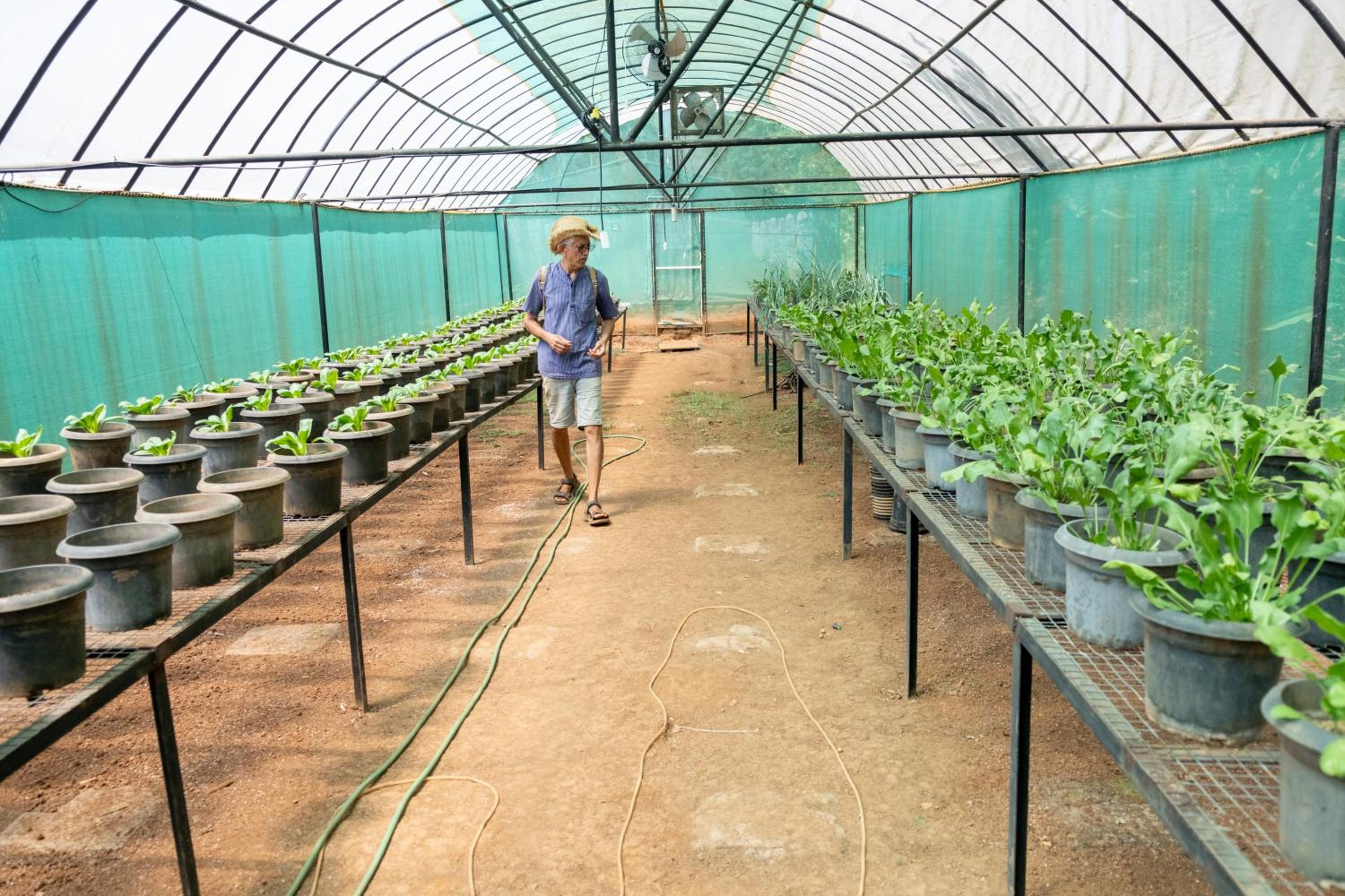 Mangaal Farmstay Goa