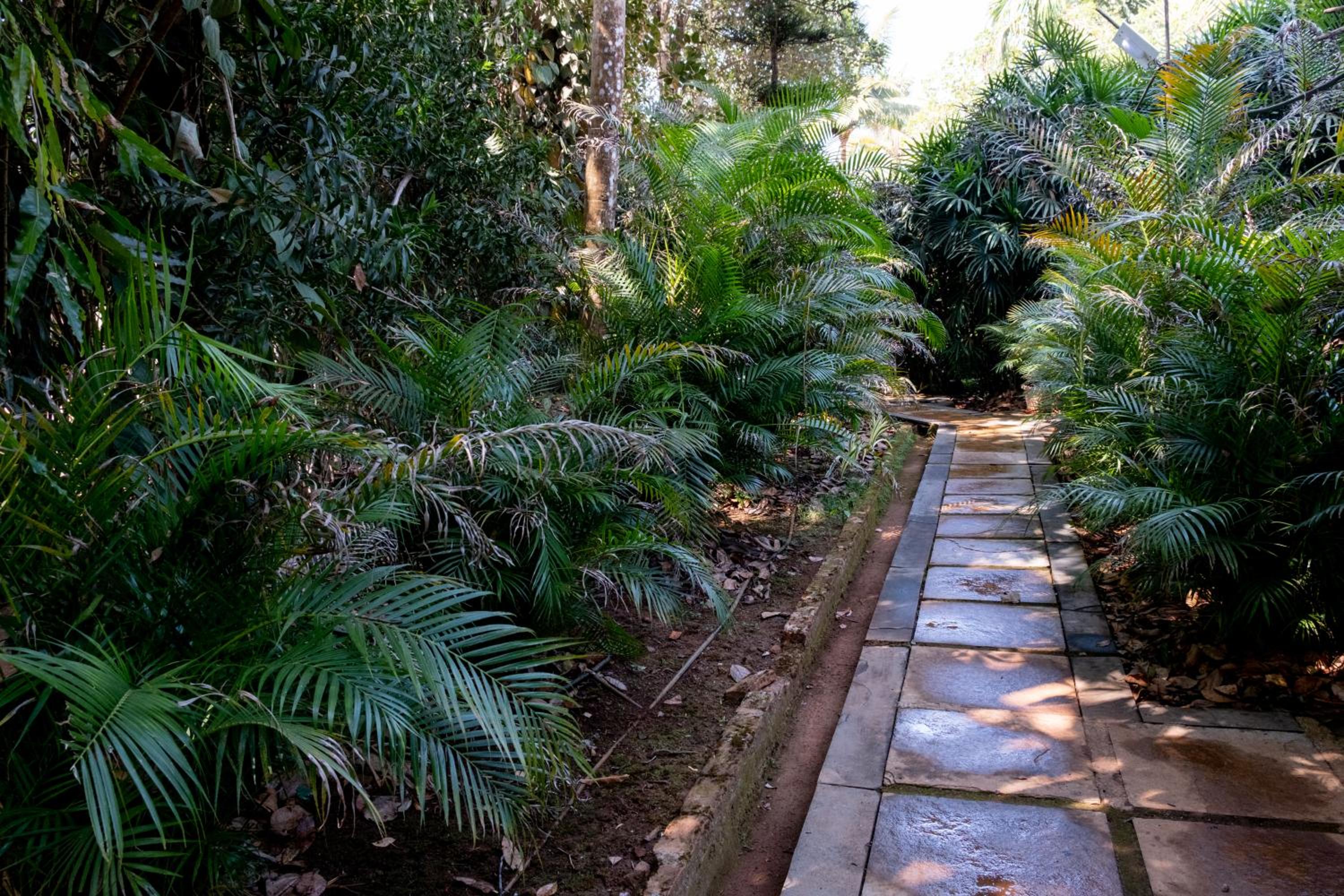 Mangaal Farmstay Goa