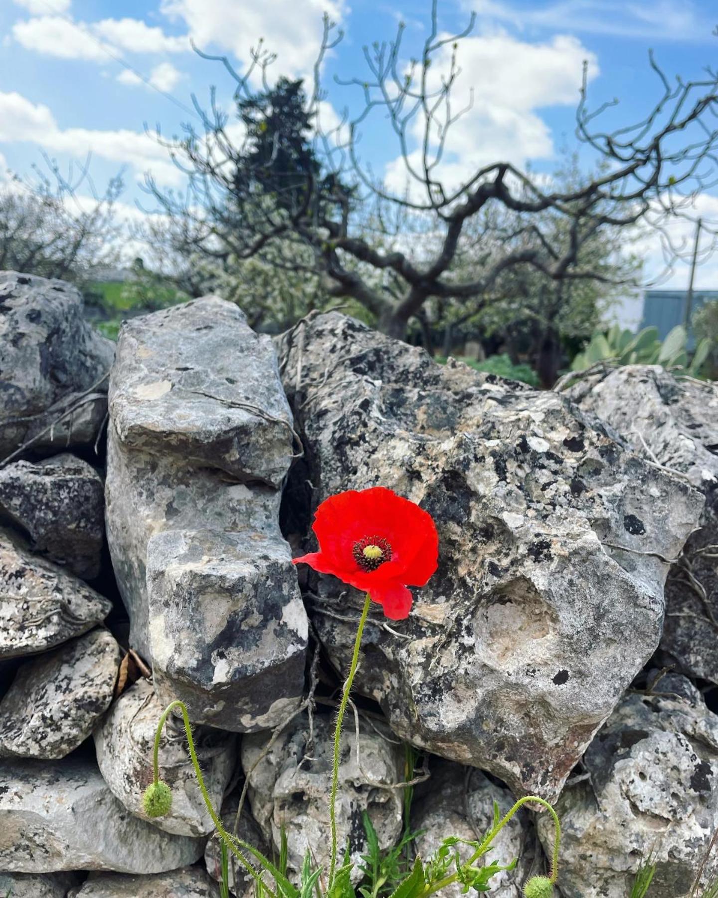 Trullo Trullallero