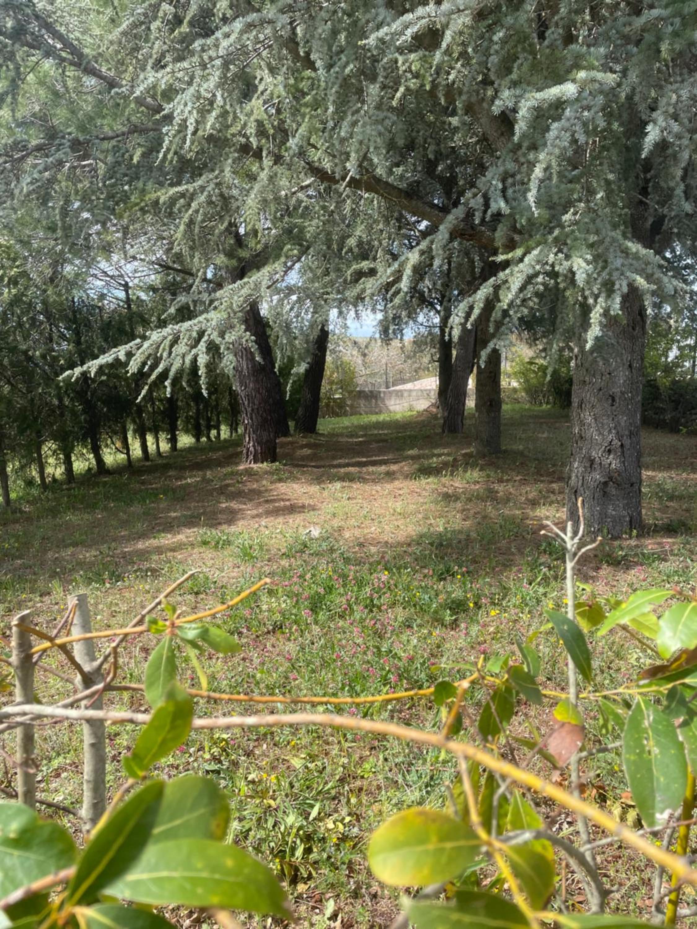 Trullo Trullallero