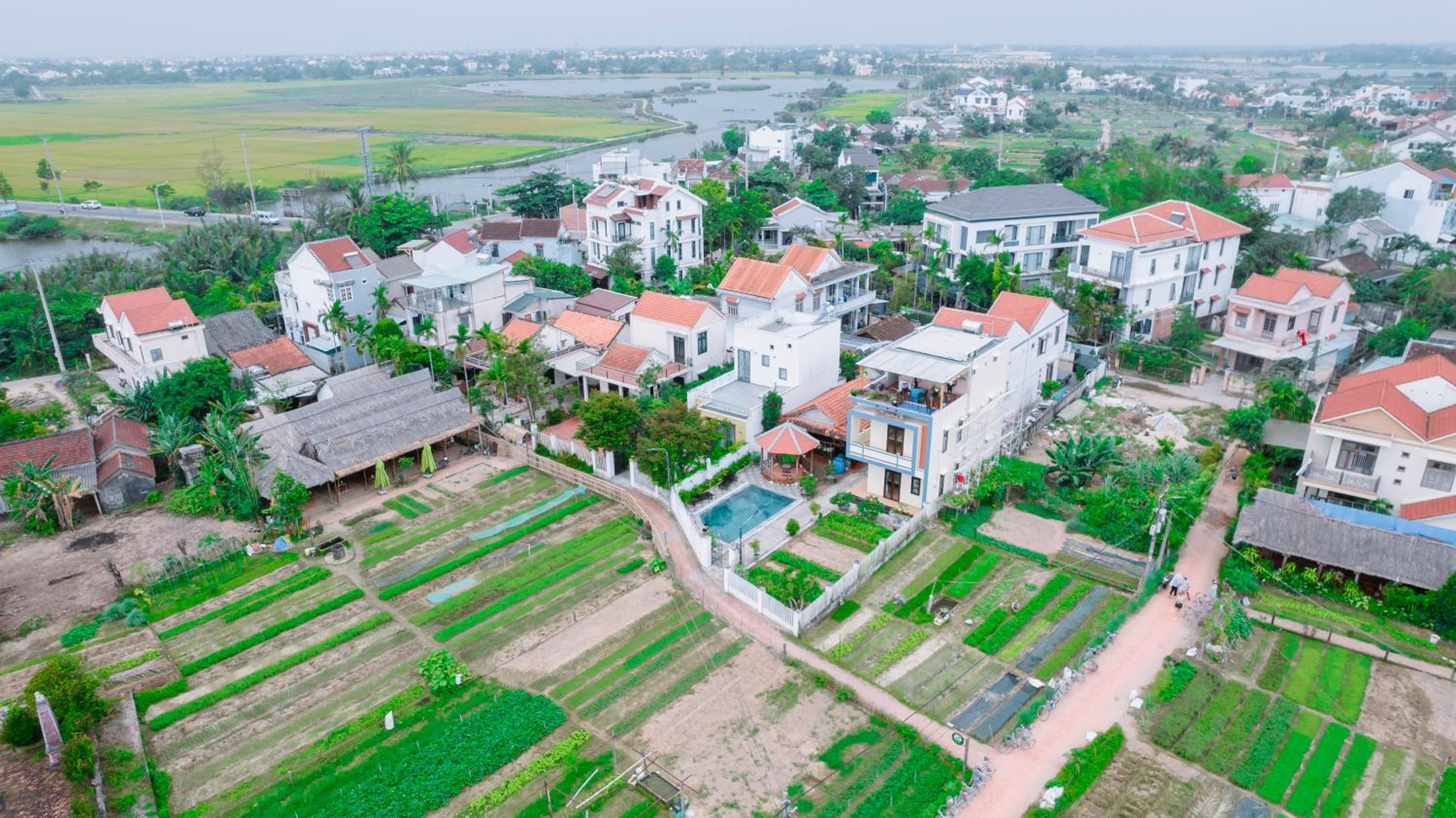 Tra Que Green Villa Hoi An view 5