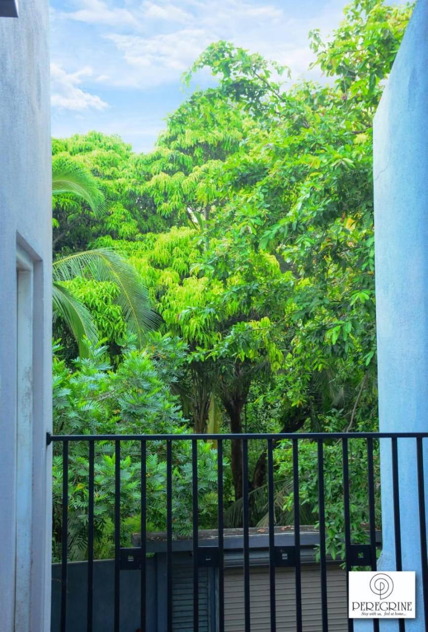 PEREGRINE Villa