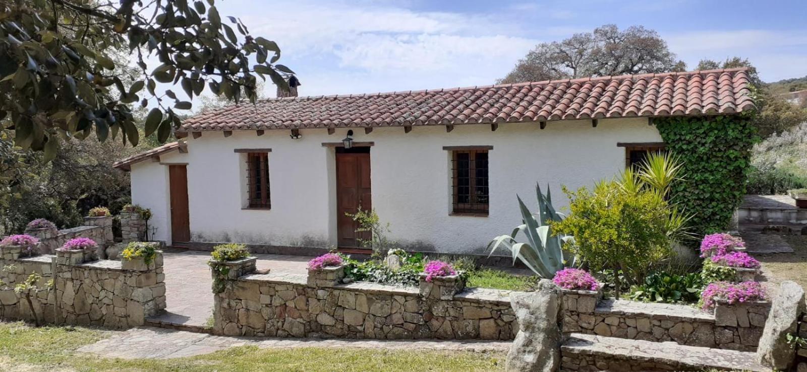 B&B I Menhir