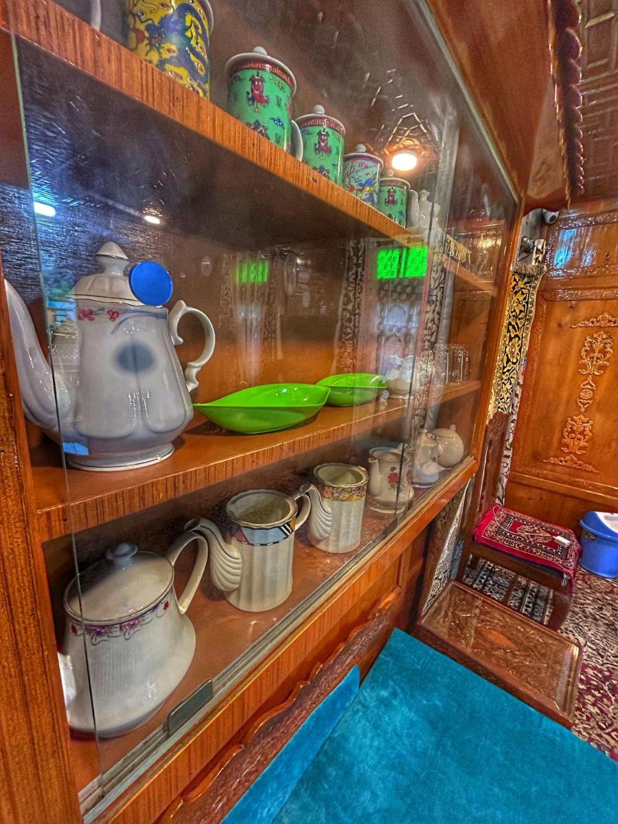 EXOTIC YOUNG SHREEN HOUSEBOAT view 2